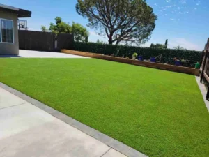 Artificial Turf